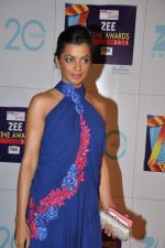 Mugdha Godse at Zee Awards red carpet in Mumbai on 6th Jan 2013 (113).JPG